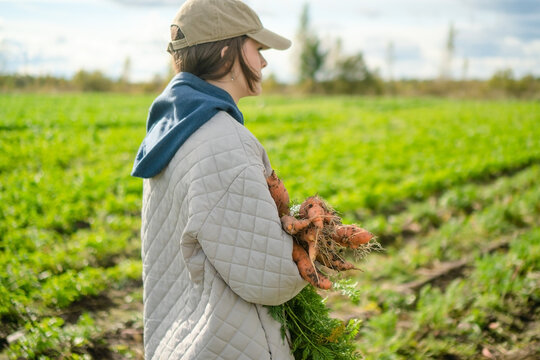 A girl and farmer holds freshly harvested carrots in a sunny, abundant field. The warm, vibrant scene reveals natural organic produce with bright harvest result in the countryside.