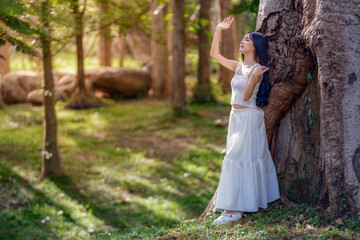 Fototapeta premium Beautiful Asian woman in white dress standing near big tree leaning against trunk in peaceful green forest.