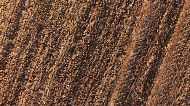 Close aerial view of cultivated soil with uneven furrows and organic residues across plowed field. Textured earth surface revealing recent tillage and moisture variation in farmland. Agronomy and soil