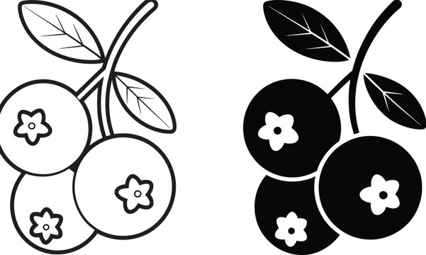 Cranberry fruit bunch botanical berries line vector illustration