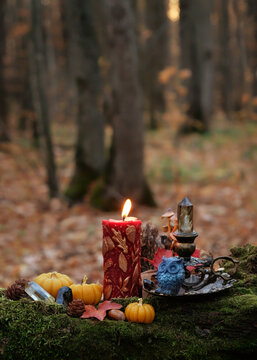 owl figurine, magic wax candle, decorative pumpkins, quartz crystals in autumn forest. decor for Fall season, Samhain, Halloween holidays. Esoteric ritual, witchcraft. mystery fairy tale atmosphere 