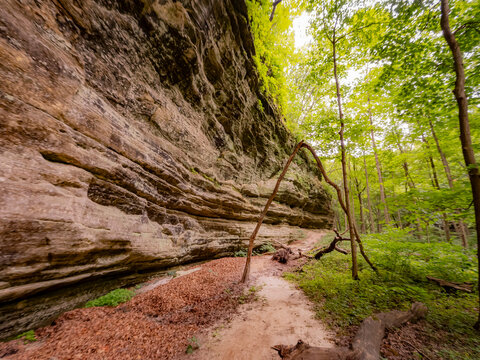 Large weathered mossy sandstone boulders resting on a forest floor surrounded by lush green foliage at Starved Rock State Park