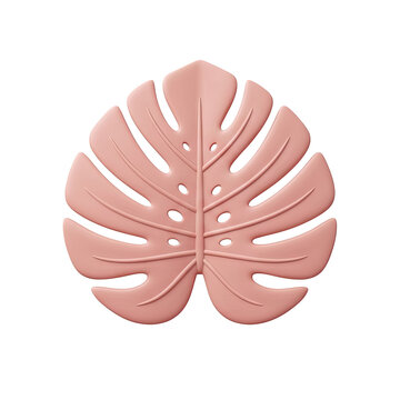 Pink Monstera Leaf Isolated on Transparent Background