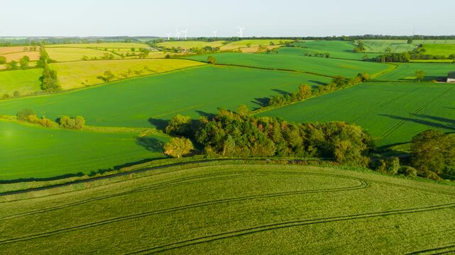 White SUV driving along rural road beside farmland and woodland. Aerial drone perspective following crossover vehicle through agricultural countryside near farm buildings. Everyday transportation