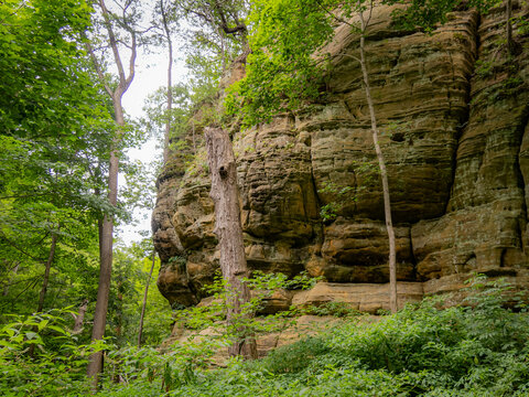 Majestic towering sandstone canyon cliff formation surrounded by a lush green forest landscape and tall trees