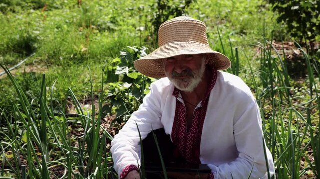 Portrait of senior smiling male wearing an embroidered shirt outdoor. Older man in traditional vyshyvanka using digital tablet on summer garden. Connection between traditional and modern life concept
