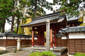 Obraz premium 紅葉に彩られた大栄寺（新潟県新潟市江南区沢海）