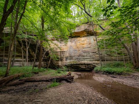 Scenic forest stream flowing beneath a towering sandstone canyon cliff wall surrounded by lush green trees
