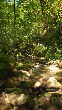 Mountain stream flowing over mossy rocks through lush green summer forest tranquil FPV drone tracking shot