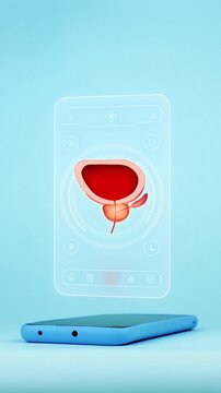 Doctor using mobile app interface on smartphone for prostate diagnosis showing anatomical prostate, innovative technology for early detection of prostate cancer and BPH. Light blue background.
