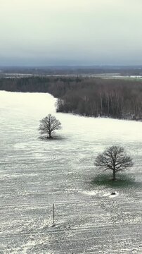 Untitled A Winter Day Flying a Drone Over the Vast Lands of Zemgale 5m
