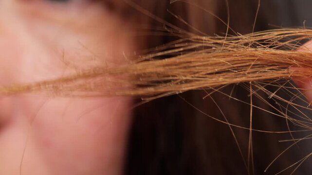 macro shot of dry brittle hair strand in backlight, close up of damaged blonde lock with split ends and rough texture, hair quality problem detail, concept of hair cosmetics, salon repair, trichology 