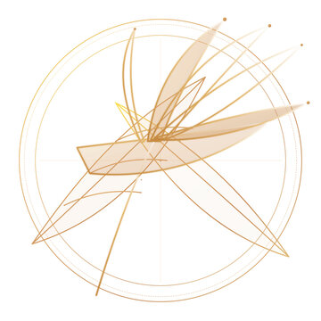 Minimalist Gold Line Art Strelitzia Botanical Art