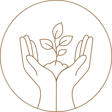 Plant Care Hands Icon, Sustainable Growth Symbol, Eco Gardening Vector Illustration