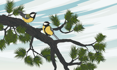 Two great tit birds Parus major perched on a pine tree branch with green needles vector © AnnstasAg