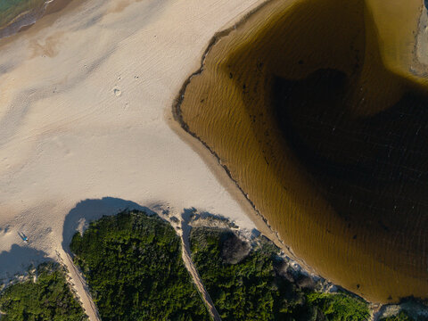 Aerial view of the lagoon and sandy beach, featuring dark water, white sand, and coastal vegetation Dee Why, New South Wales, Australia.