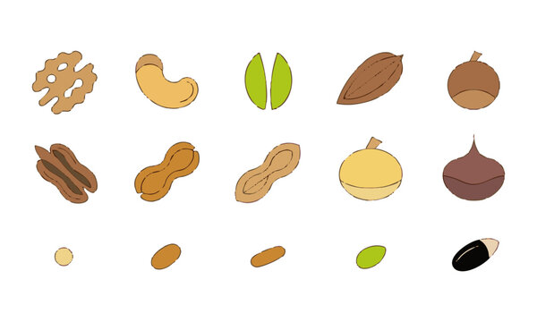 Plant Based Nut Collection.