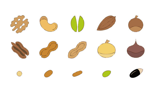 Natural Nuts And Seeds Collection.