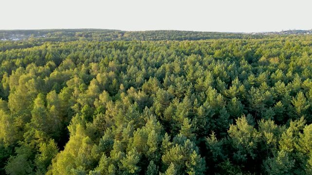 Aerial tracking shot over forested ridge with morning mist settling in valley, Katowice Poland
