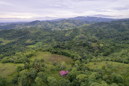 Aerial view of Dede Kadu, a small house with a red roof nestled in lush green hills and tropical forest under a soft sky in Loli, East Nusa Tenggara, Indonesia.