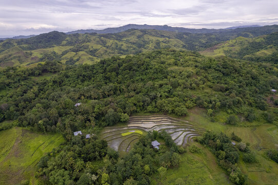 Aerial view of Dede Kadu rice terraces nestled among lush green hills and tropical forests in Loli, East Nusa Tenggara, Indonesia.