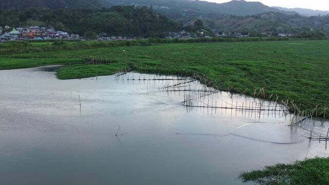 Aerial View of Lake With Aquatic Plants
