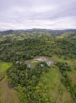 Aerial view of Dede Kadu rice terraces surrounded by lush green hills and dense tropical forest under a cloudy sky in Loli, East Nusa Tenggara, Indonesia.
