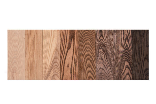 Wood color swatches and samples collection isolated on white background.