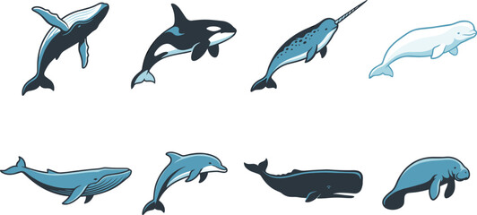Fototapeta premium Whale and Sea Mammal Illustration Collection Featuring Humpback Orca Narwhal Dolphin and Manatee Icons
