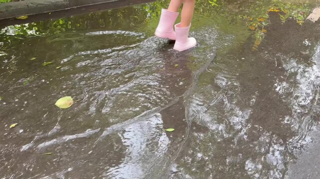a child's legs wearing pink rubber rain boots walking and splashing through a large puddle on an asphalt path.