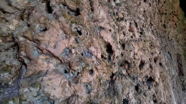 Xemxija, Malta 29.07.2026 - Heritage trail, Roman Baths, shelf like cut in the stone Dark cave walls show rough, textured surfaces. Greenish moss grows on damp, uneven stone. Light filters through nar