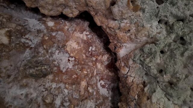 Xemxija, Malta 29.07.2026 - Heritage trail, Roman Baths, shelf like cut in the stone Dark cave walls show rough, textured surfaces. Greenish moss grows on damp, uneven stone. Light filters through nar