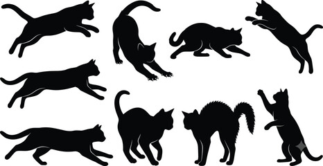 Black Cat Silhouette Vector Set with Various Poses Running Jumping Stretching and Standing Isolated on White Background © Mst