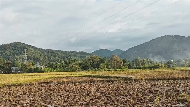 Rural Farmland with Green Hills and Cloudy Sky in Morning Light