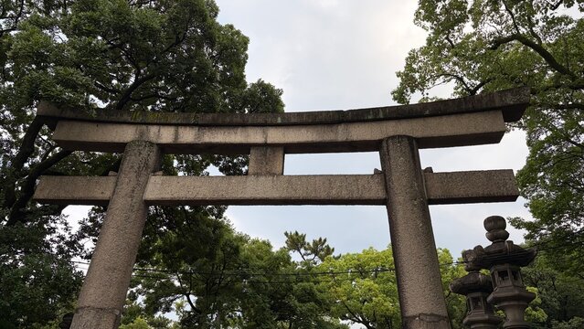 住吉大社の石鳥居と新緑