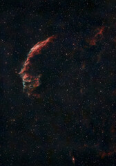 Eastern Veil Nebula glowing amid a dense star field in deep space. © Edu Estellez
