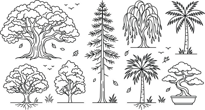 Minimalist black and white line art vector collection of various tree types including oak palm pine willow bonsai