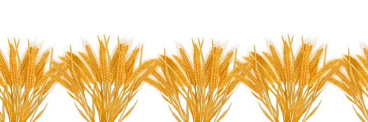 Fototapeta premium Seamless watercolor border with golden wheat ears on white.