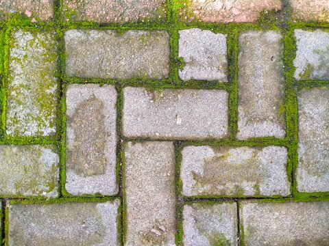 Mossy Paving Stone Surface with Rustic Weathered Outdoor Texture