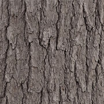 Seamless rough tree bark texture background, natural weathered oak timber crust backdrop with deep vertical grooves for forest landscape environment design