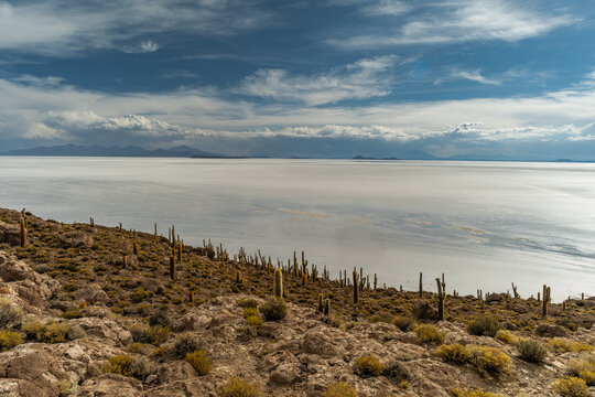 Salar de Uyuni salt plains with large cactuses of island Incahuasi at sunrise time, Andean Altiplano, Bolivia, South America.