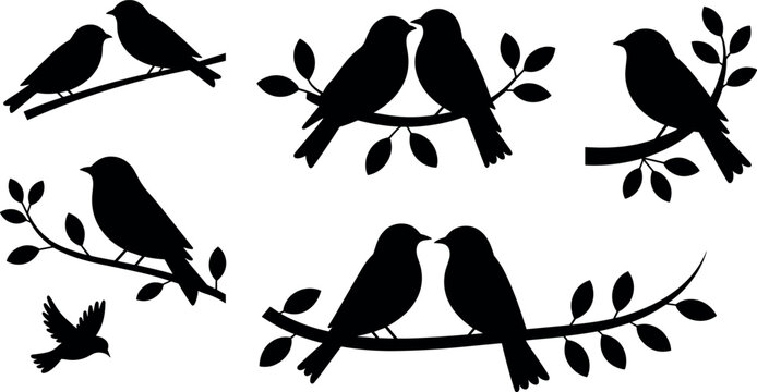 Love birds sitting on tree branch silhouette vector set black couple graphics isolated on white background