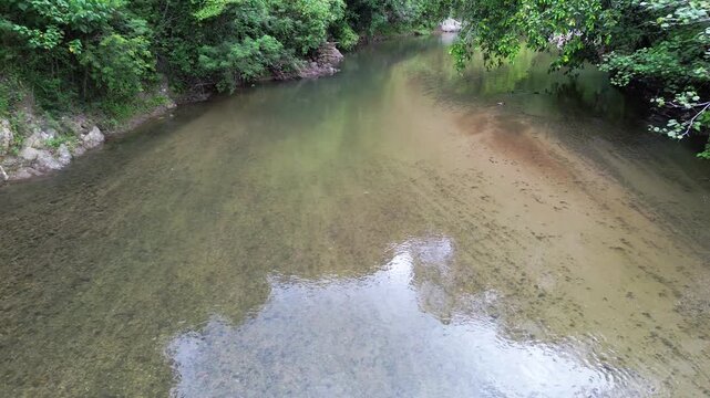 Aerial View of Clear Shallow River Flowing Through Lush Forest