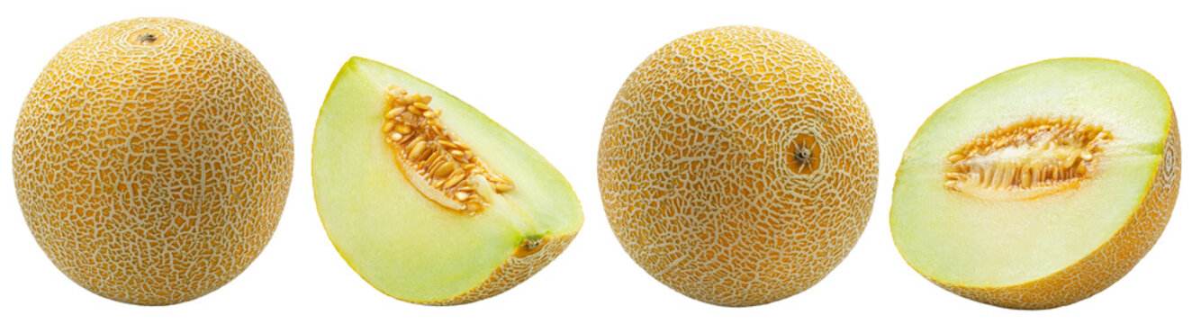 Set of cantaloupe melon, slice of muskmelon and half of melon isolated.