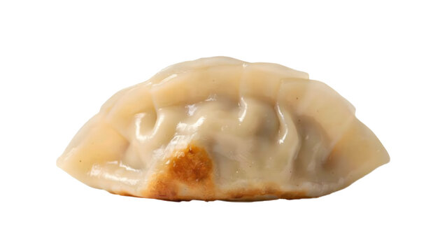 Golden pan-fried gyoza dumpling with green onions, isolated on transparent background
