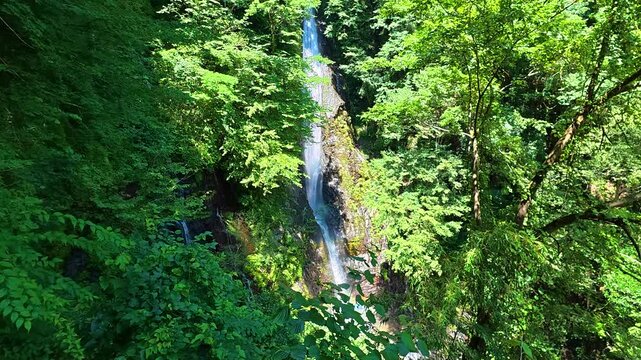洒水の滝で撮影した夏の青空と緑の木々の中を落ちる滝