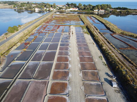 Aerial view of the salt marshes on the ile de re with rectangular salt pans, coastal vegetation, and distant houses in Charente-Maritime, Nouvelle-Aquitaine, France.