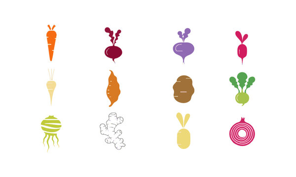 Edible Root Vegetable Collection.