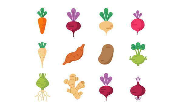 Fresh Root Vegetable Collection.