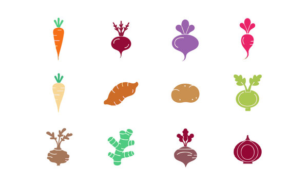 Organic Root Vegetables Illustration Set.